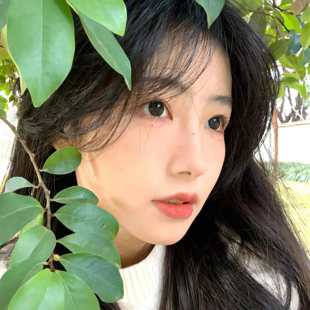 少林与武当